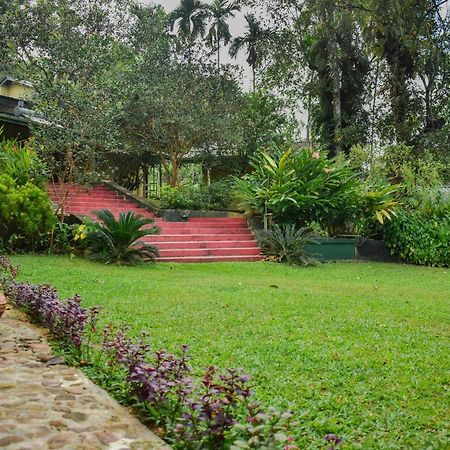 Blue Magpie Lodge Sinharaja Kudawe Εξωτερικό φωτογραφία