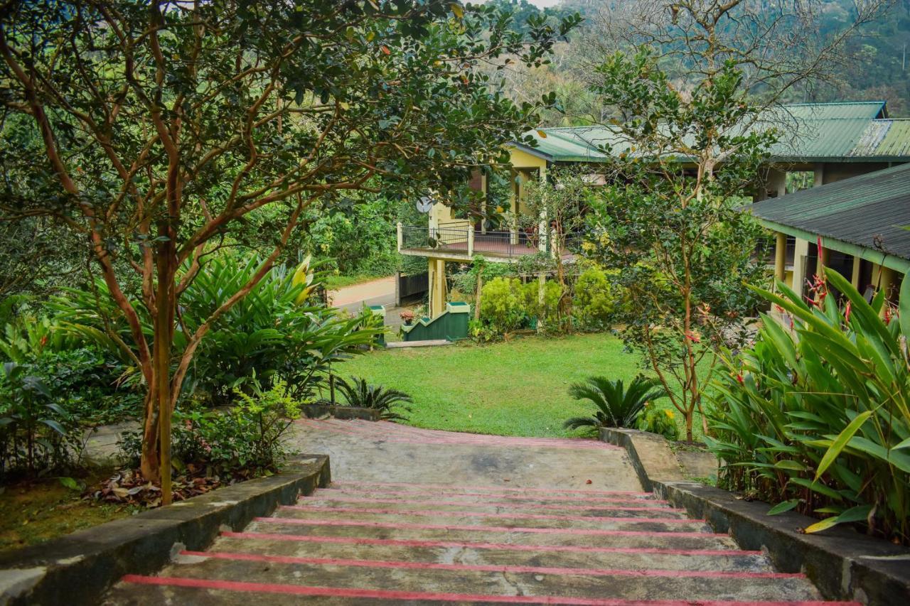 Blue Magpie Lodge Sinharaja Kudawe Εξωτερικό φωτογραφία