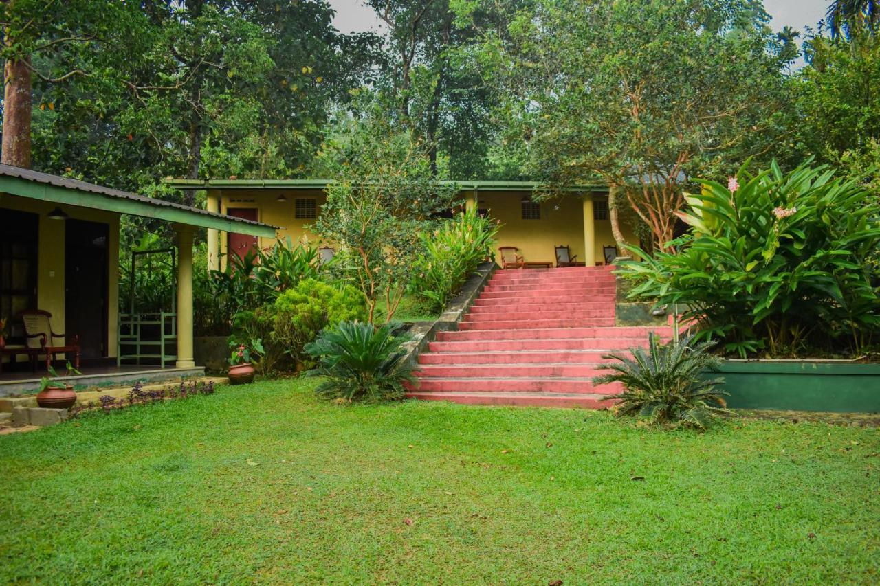Blue Magpie Lodge Sinharaja Kudawe Εξωτερικό φωτογραφία
