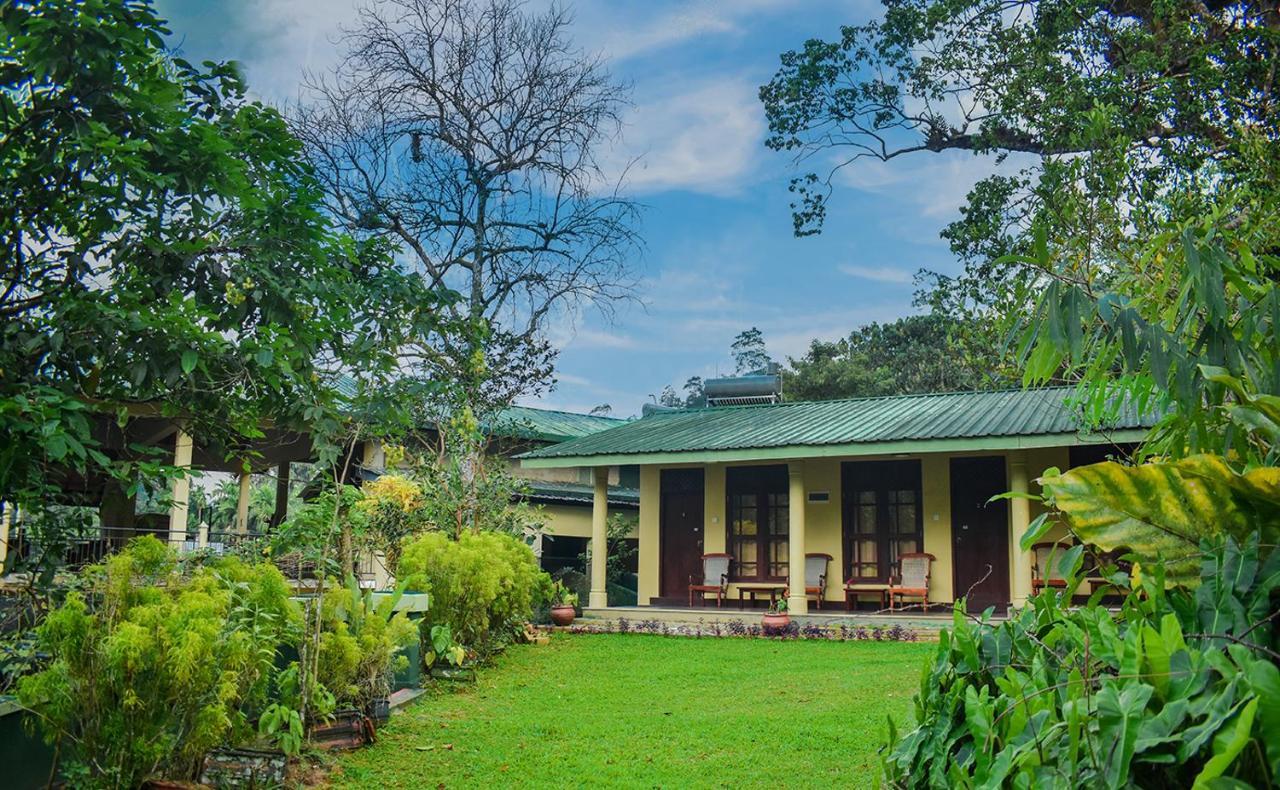 Blue Magpie Lodge Sinharaja Kudawe Εξωτερικό φωτογραφία