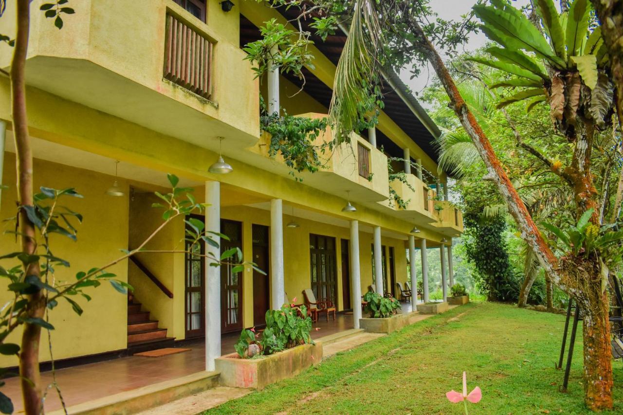 Blue Magpie Lodge Sinharaja Kudawe Εξωτερικό φωτογραφία