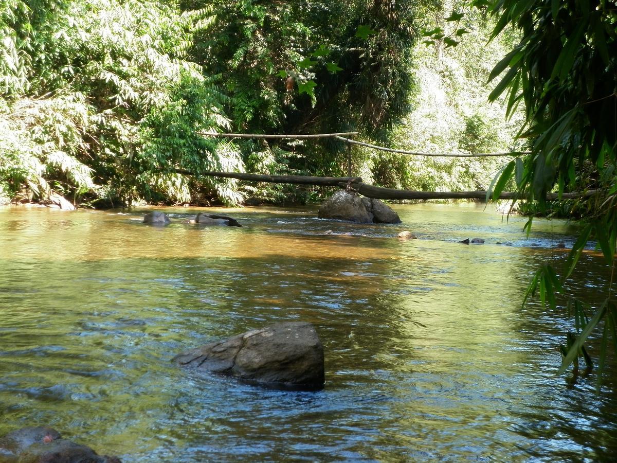 Blue Magpie Lodge Sinharaja Kudawe Εξωτερικό φωτογραφία